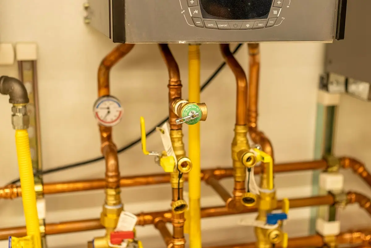 Licensed technician providing Backflow Prevention for a homeowner in Palm Tree